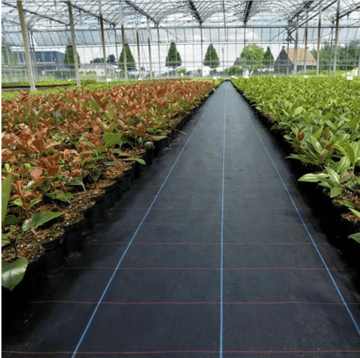 AGROTEKSTILMATTE 0,8X50M + 50 PINNER 70g/m2 - BoskaHome1